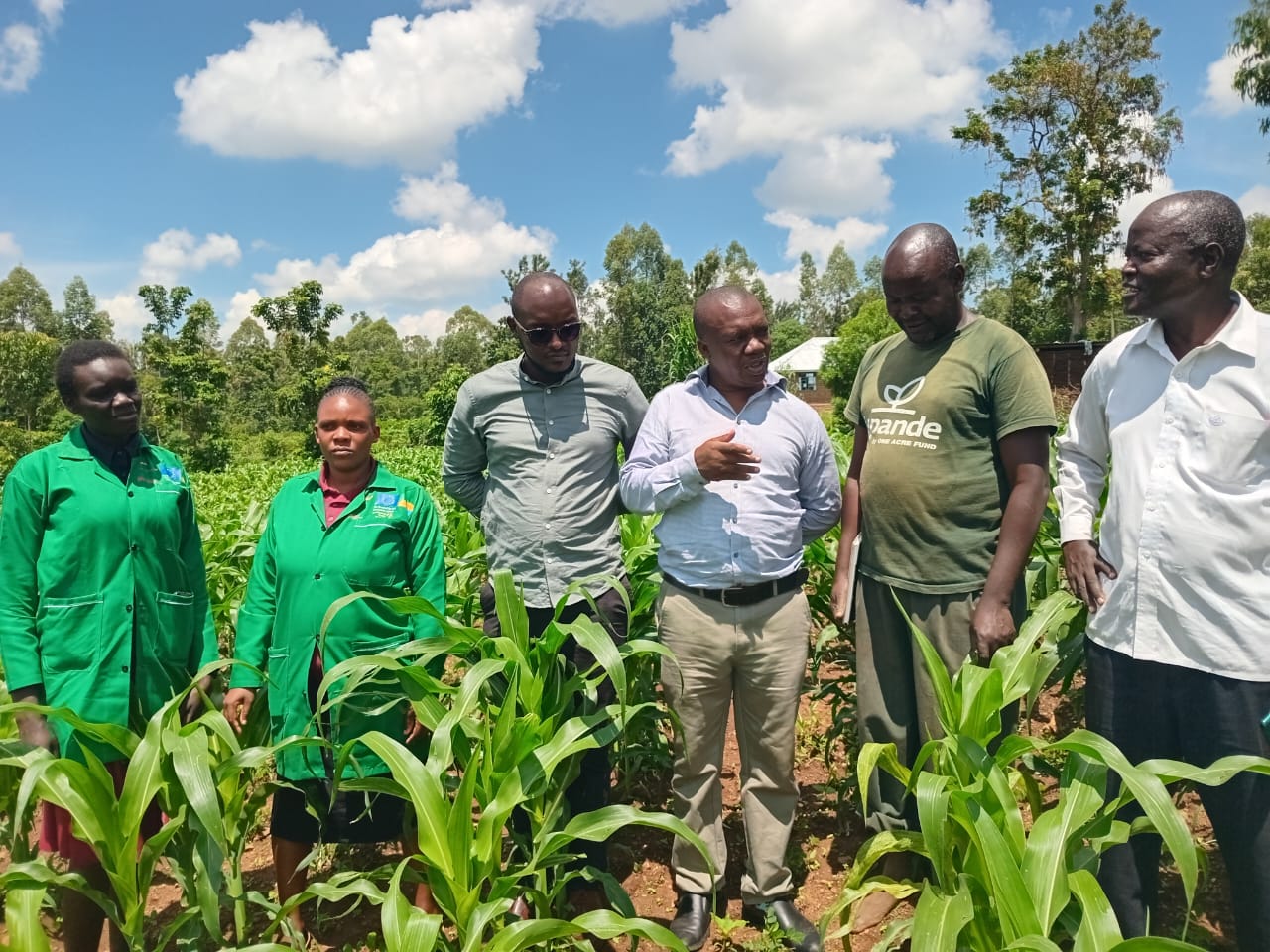 Hands holding rich, dark compost soil